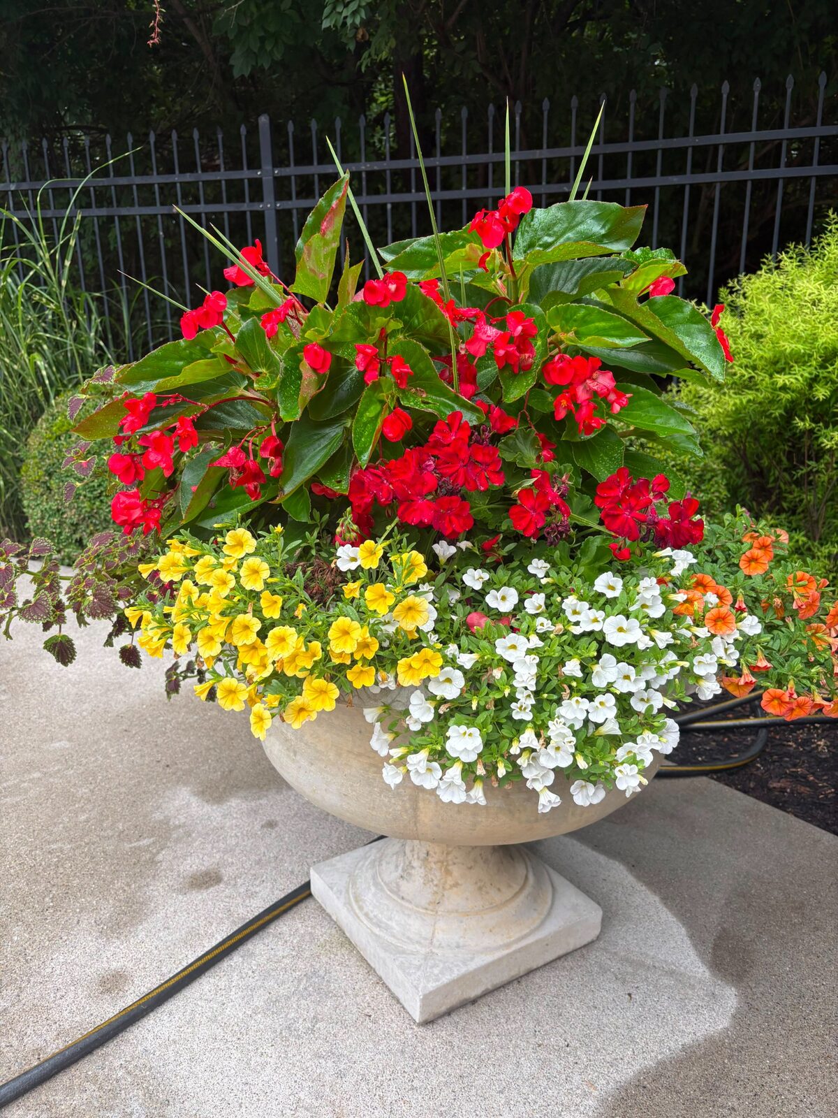 Colorful urn arrangement — M&J Landscaping
