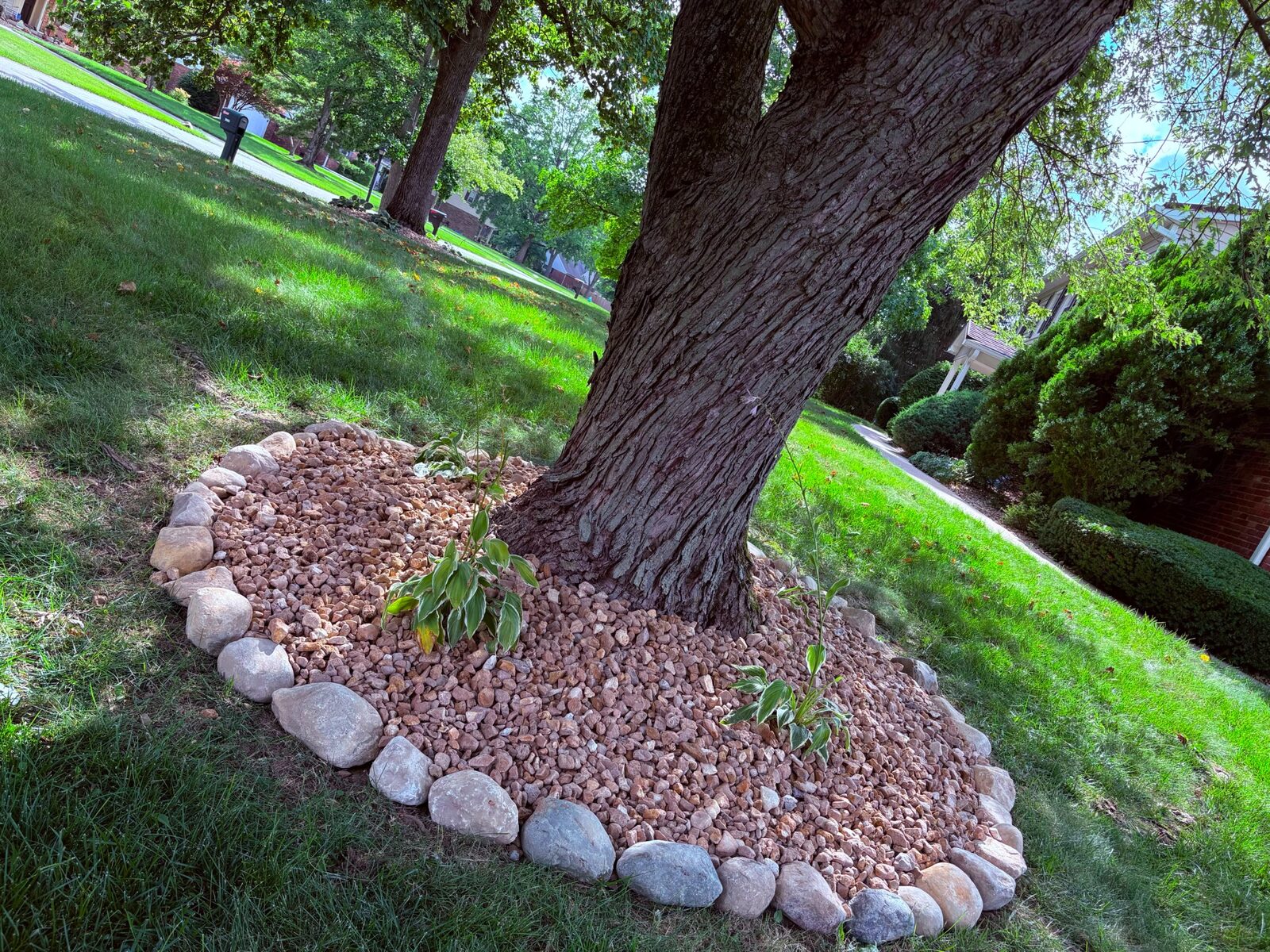 Tree-bed stone edging — M&J Landscaping
