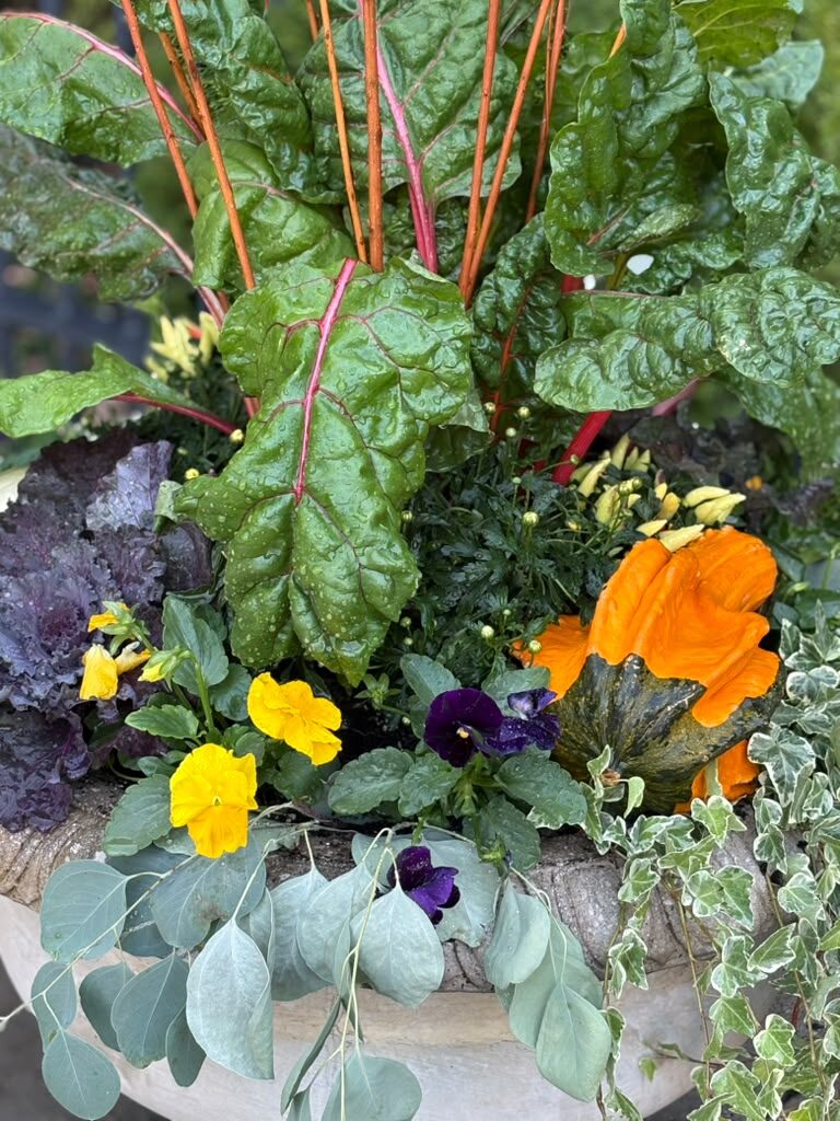 Color and texture details — M&J Landscaping